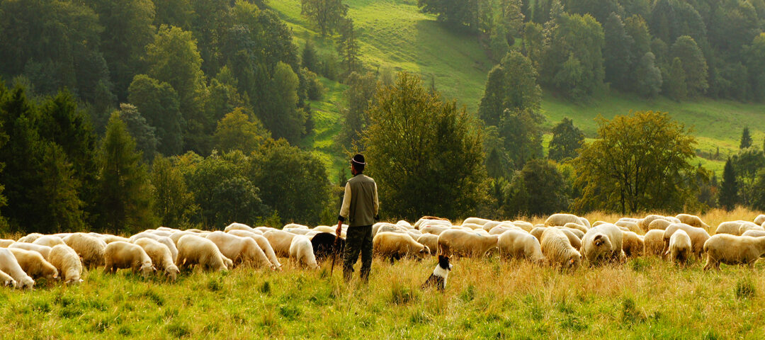 Peter Preached on Pentecost (part 1 of 3)