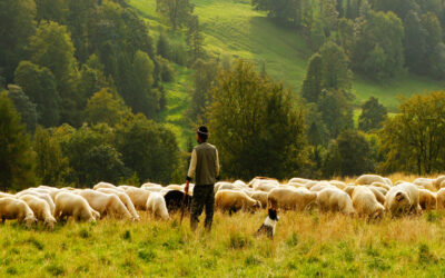 Peter Preached on Pentecost (part 1 of 3)