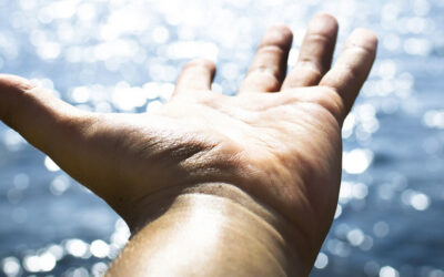 The Crux of the Free Offer of the Gospel