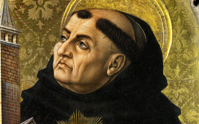 Presuppositional Ponderings after Reading Thomas Aquinas