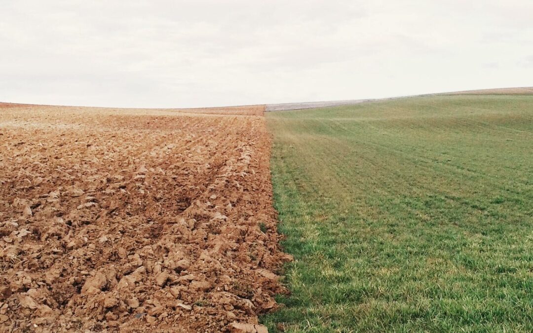 The Account of Creation | Sam Waldron