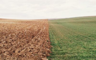 The Account of Creation | Sam Waldron