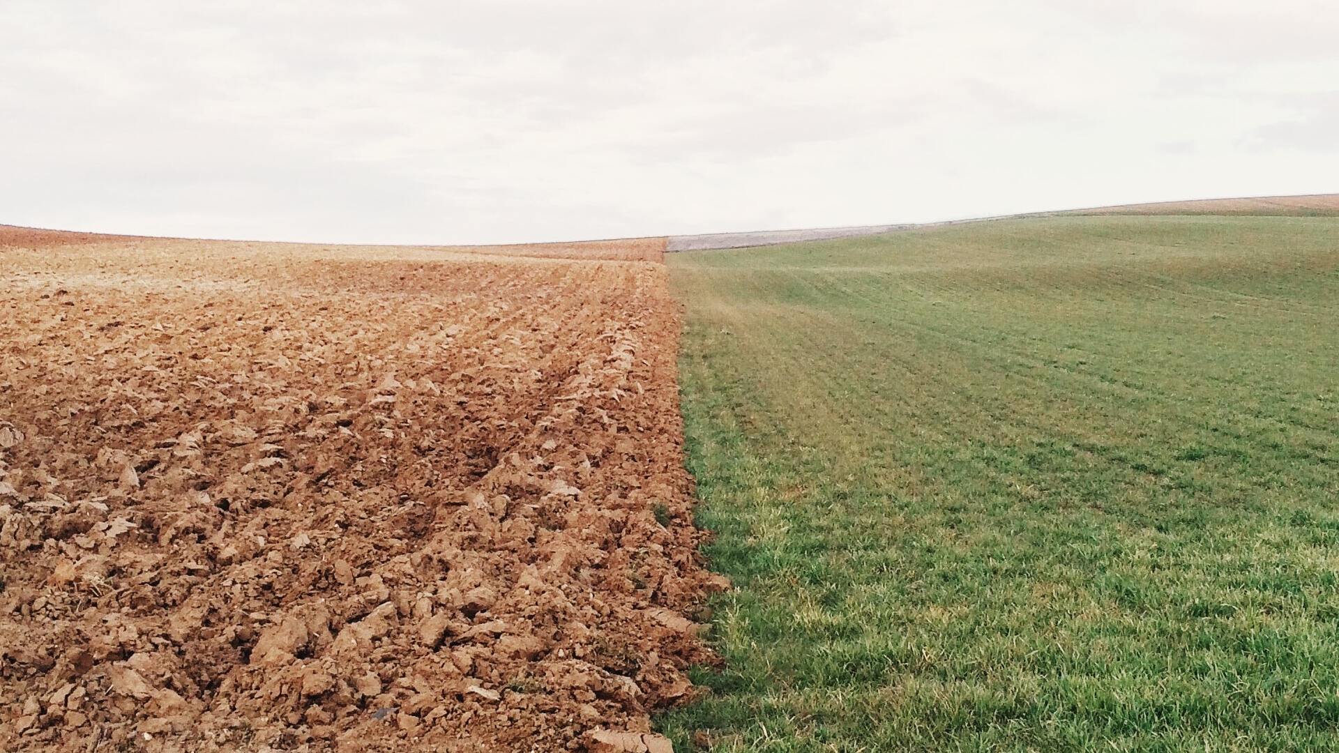 The Account of Creation