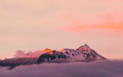 Descriptions of the Divine Decree | 1689 3:2 | Sam Waldron