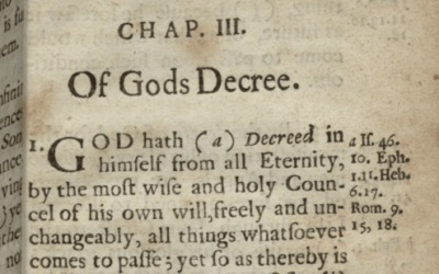 What Should We Think of God’s Decree? | 1689 3:1 | Sam Waldron