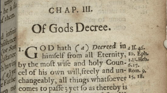 What Should We Think of God’s Decree? | 1689 3:1 | Sam Waldron