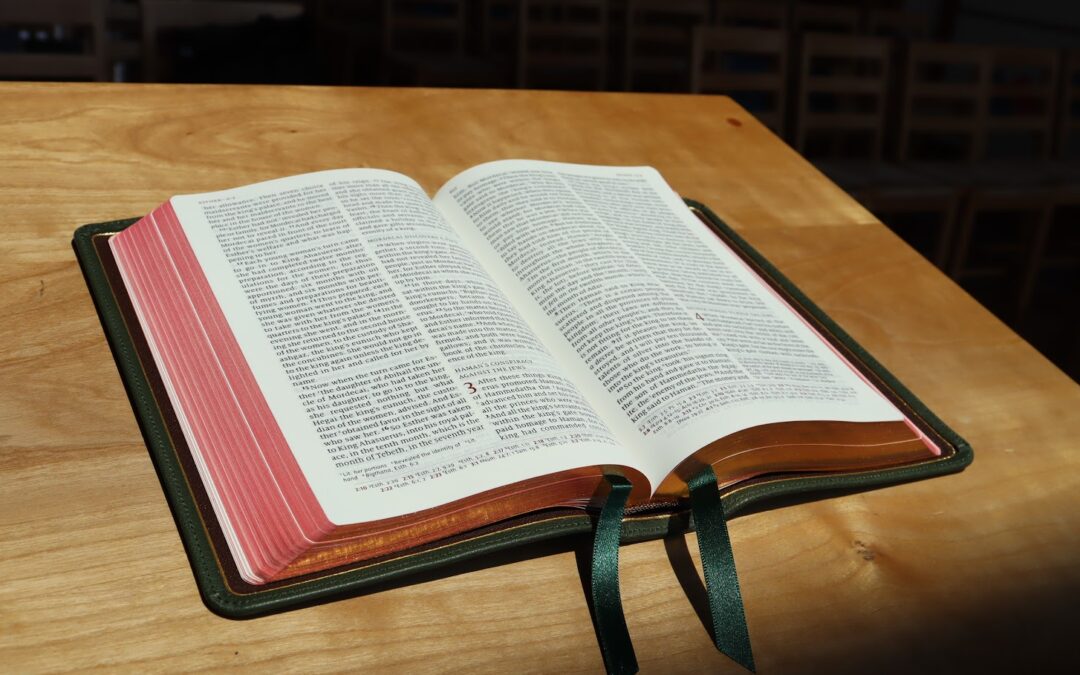 Moral Absolutes, the Law of God, and the Imago Dei | Dewey Dovel