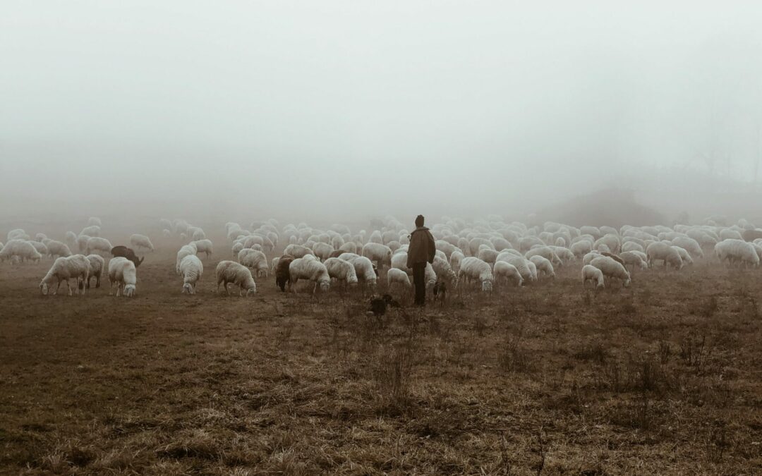 Pastoral Ministrations | Taylor Settle