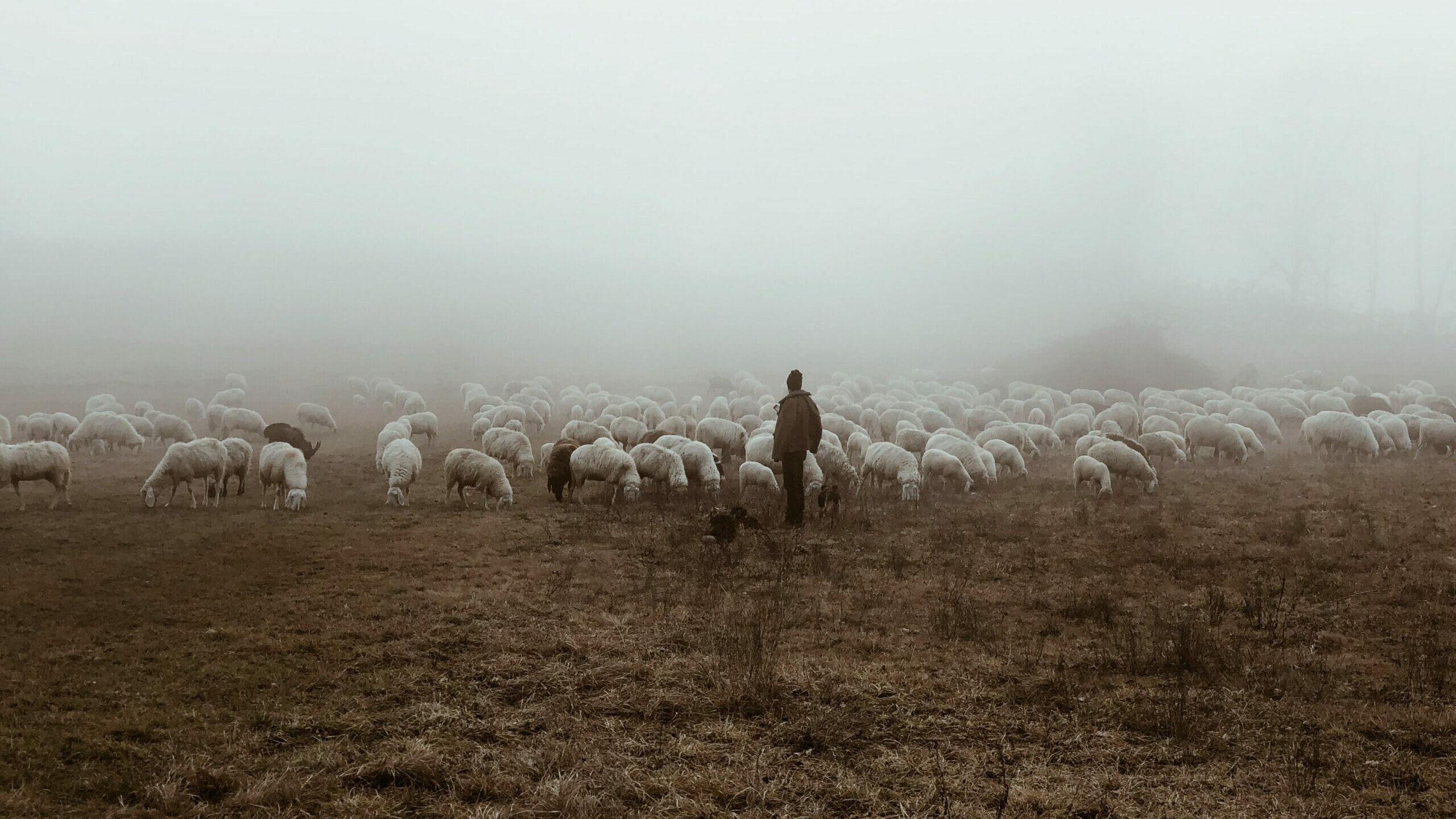 antonello-falcone-G2djeMdYSOM-unsplash