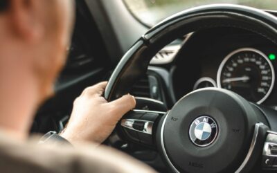 In Him, All Things Hold Together | Tom Nettles