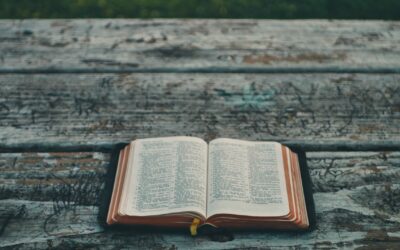 1689 8:2 The Incarnation of Christ the Mediator | Sam Waldron