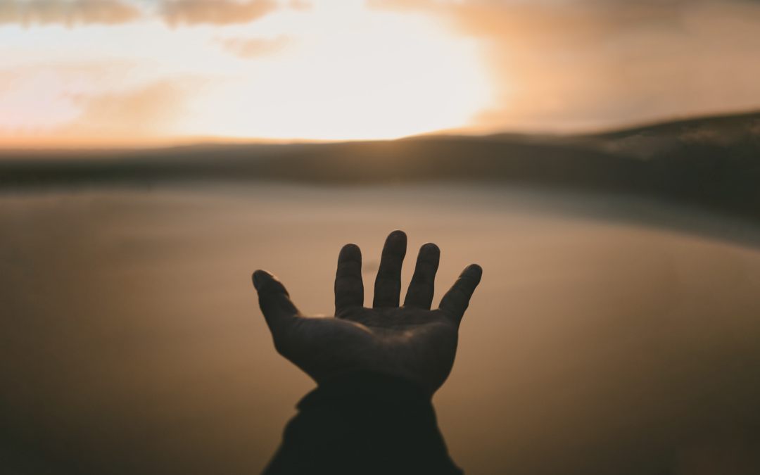 Can Thomists be “Reformed” on the Imago Dei? | Brice Bigham