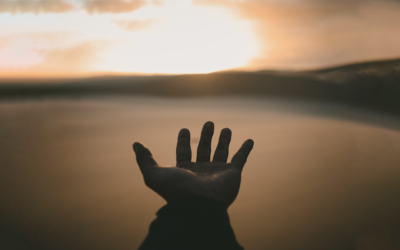 Can Thomists be “Reformed” on the Imago Dei? | Brice Bigham