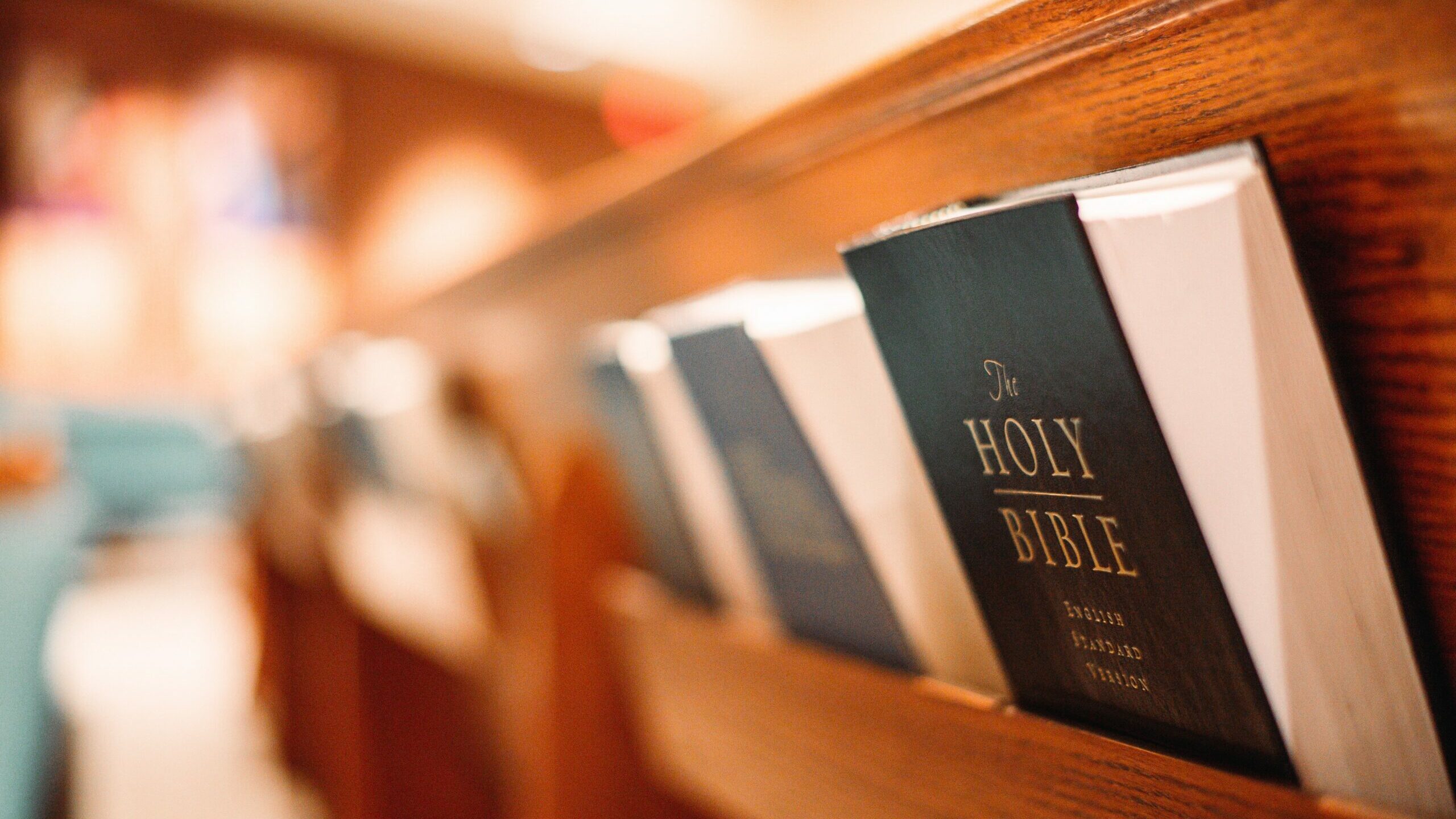 mitchell-leach-OoaoPYz-E3M-unsplash