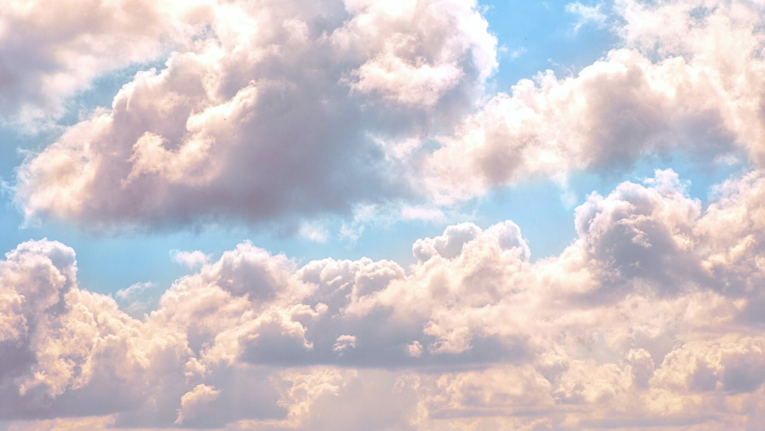 billy-huynh-v9bnfMCyKbg-unsplash