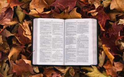 The first sentence of the Second London Confession of Faith | Michael A.G. Haykin