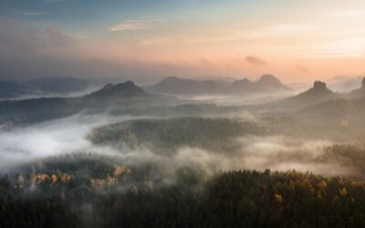 It is Very Difficult to Discuss a Matter with God | Tom J. Nettles