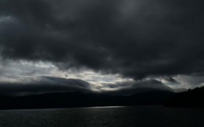 Have you considered Job? | Tom J. Nettles