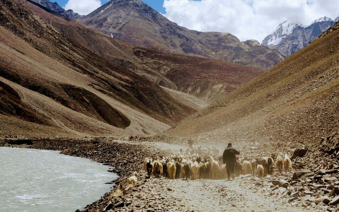 True shepherds feed their flocks | Jim Savastio