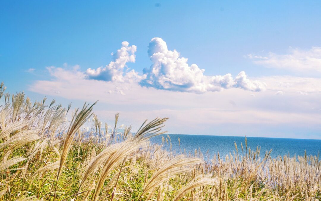 The Heavenly Origin of Earthly Events | Tom J. Nettles