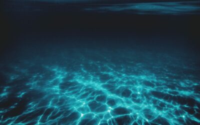 It is Your Fault | Tom J. Nettles