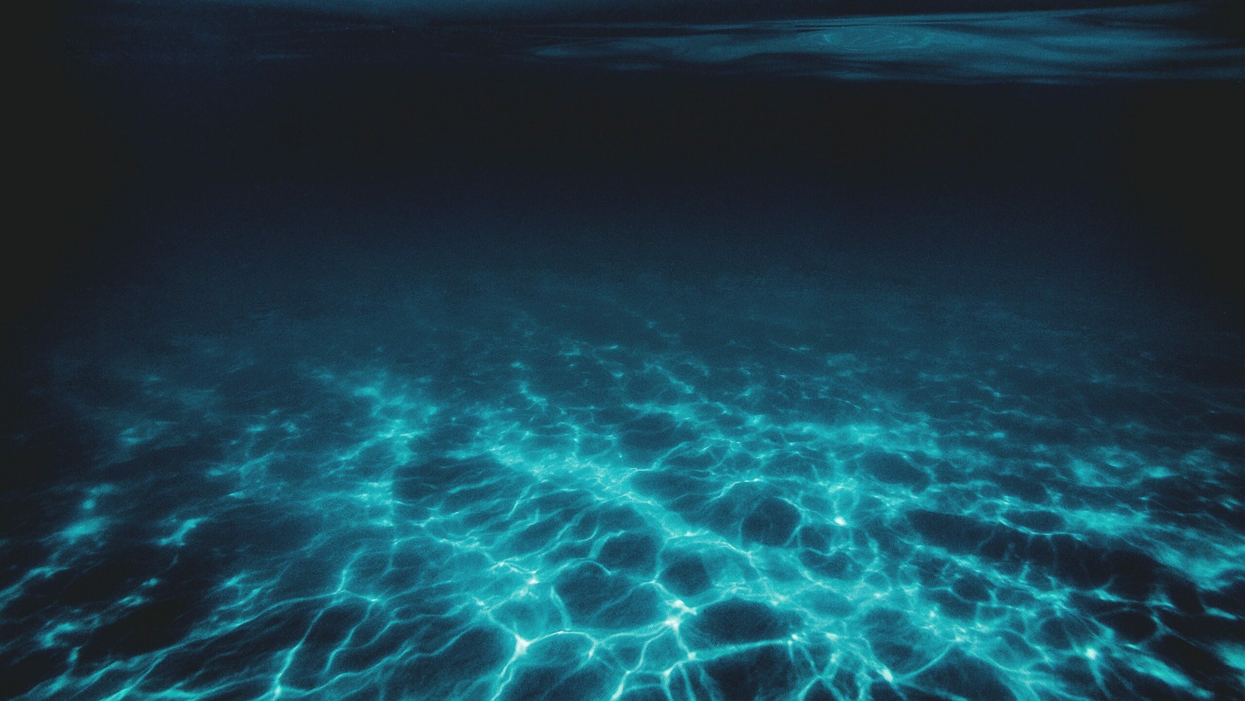 jonathan-borba-3o5oUjrD90w-unsplash