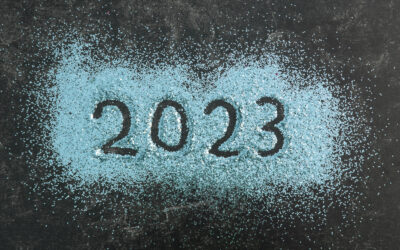 2023 in Review