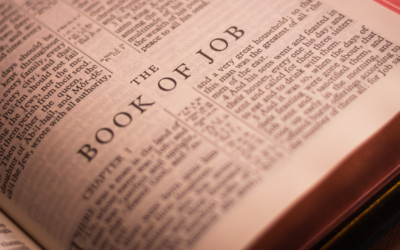 Write My Words | Tom J. Nettles