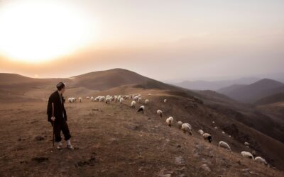 True shepherds protect their flocks | Jim Savastio