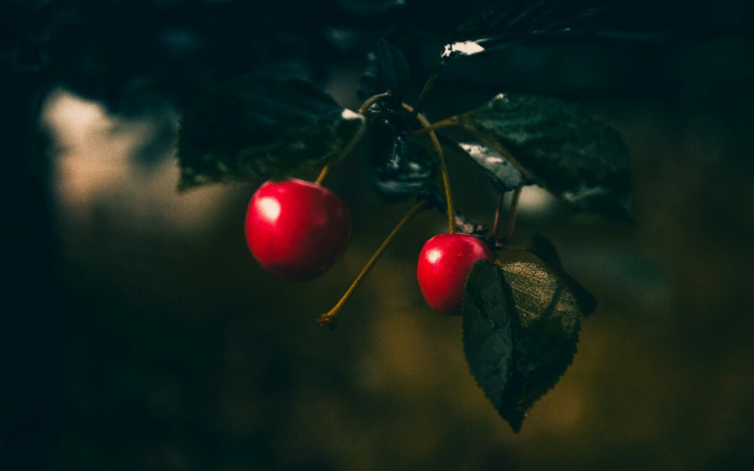 Are all sins the same? | Tom Hicks