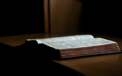 The Law/Gospel Distinction, Moralism, and Preaching | Johnny Zacchio