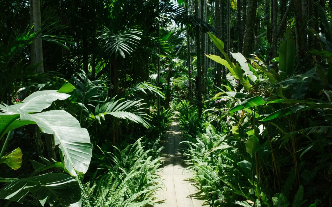 The Spiritual Culture of Eden: The Purpose of Sabbath Keeping in the Example of Jeremiah Chaplin | Christopher E. Osterbrock