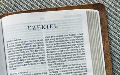 Ezekiel 40-48: A Troublesome Temple Vision, Hermeneutics, and Jesus Christ | Brandt Athey