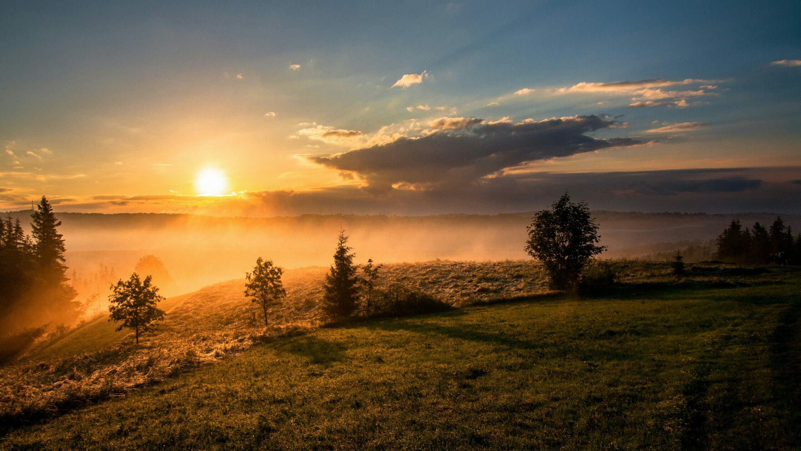 dawid-zawila–G3rw6Y02D0-unsplash