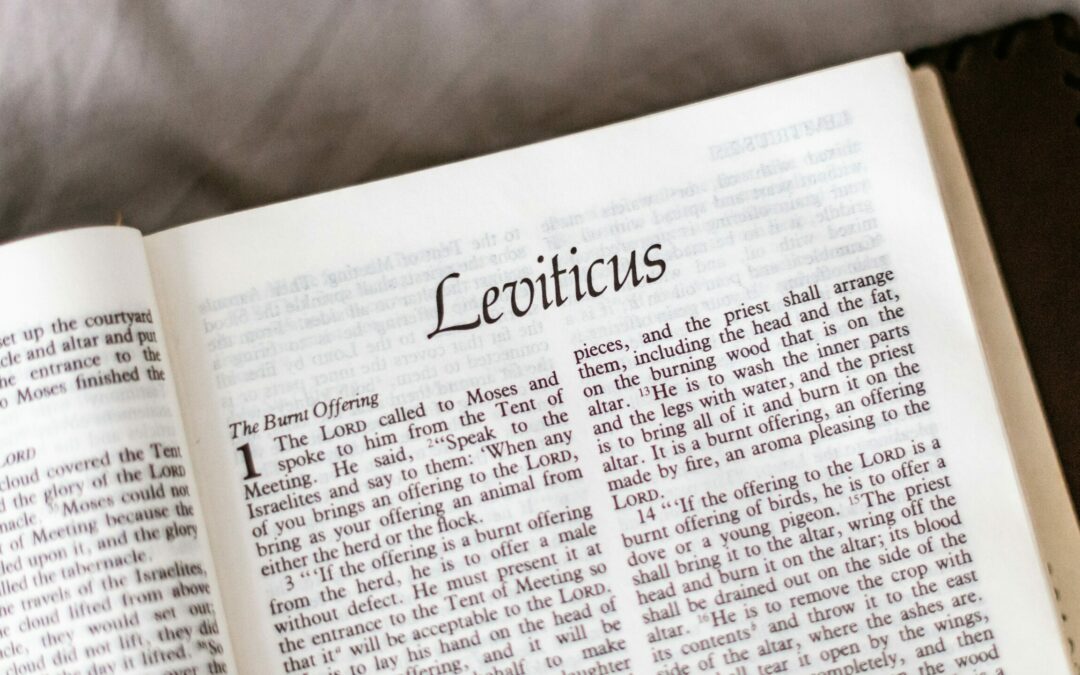 What is the purpose of the Sabbath? | Brandon Rhea