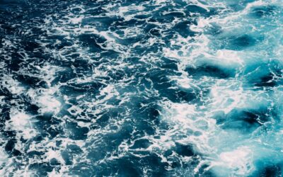 Empty Objections | Tom J. Nettles