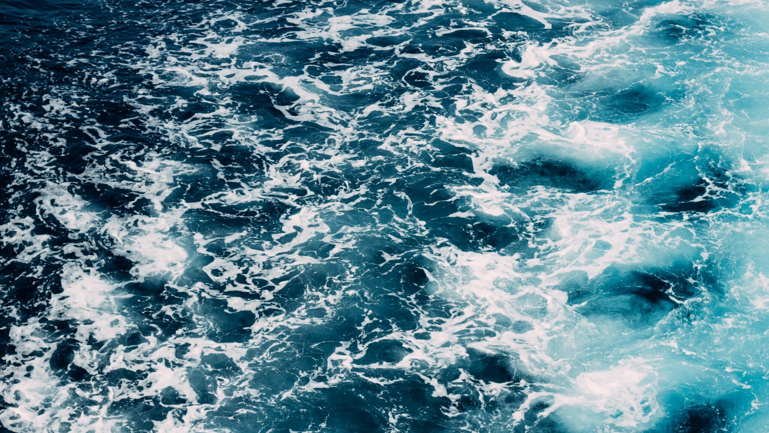 tijana-mihajlovic-4qO-IMqM52U-unsplash (1)