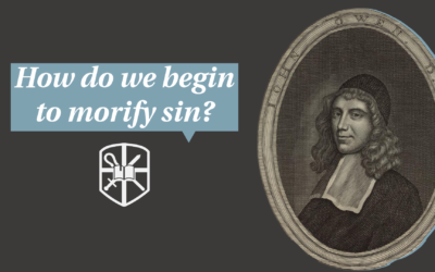 How do we begin to mortify sin? | John Owen