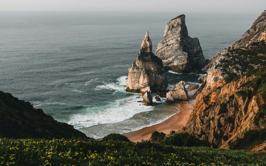 Treasure the Ransom | Job 36:6-18 | Tom J. Nettles