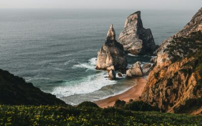 Treasure the Ransom | Job 36:6-18 | Tom J. Nettles