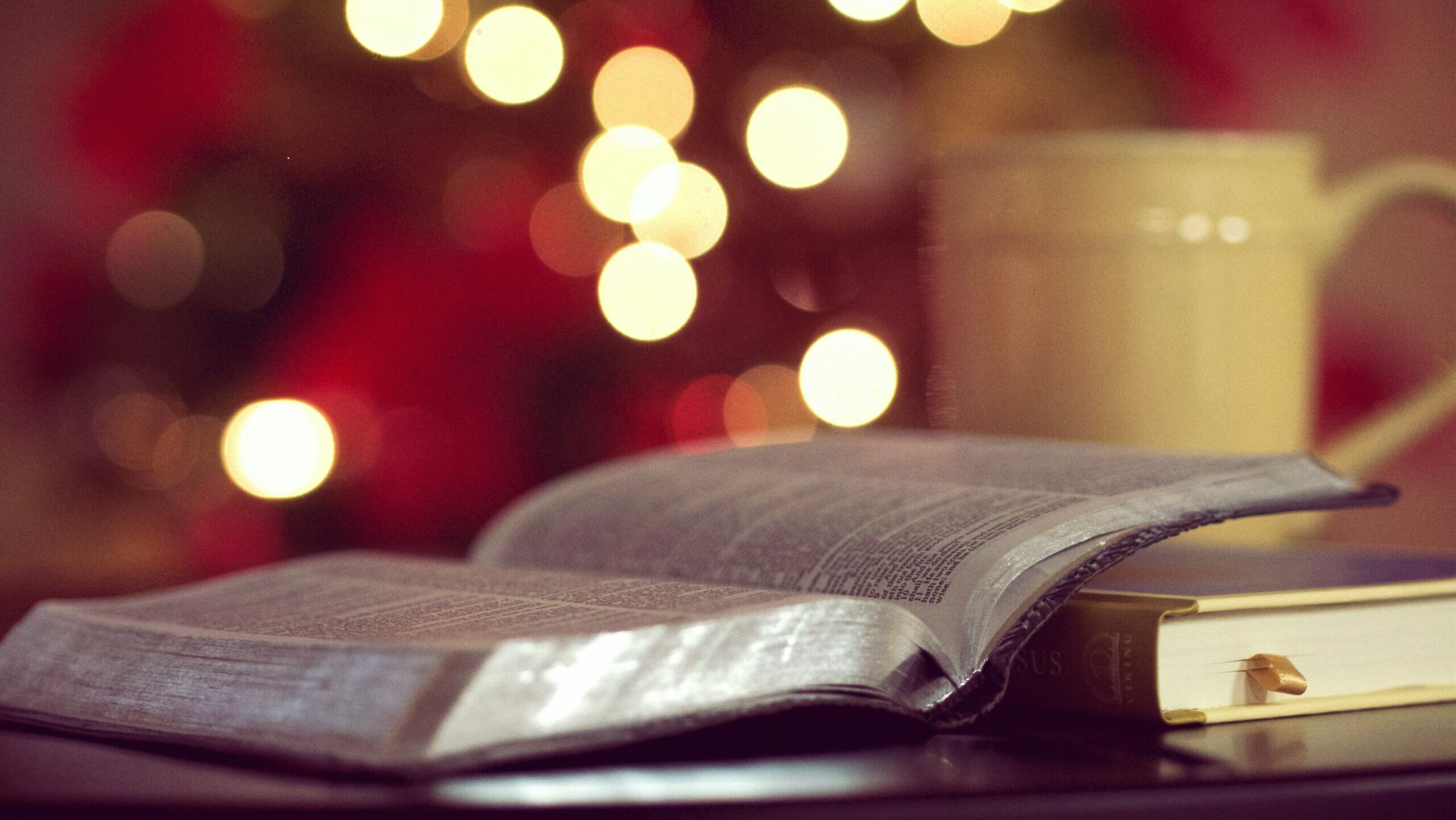 aaron-burden-cTQwN8J08uM-unsplash