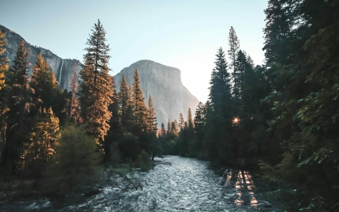 “He Who Rebukes God, Let Him Answer” | Job 42 | Tom J. Nettles