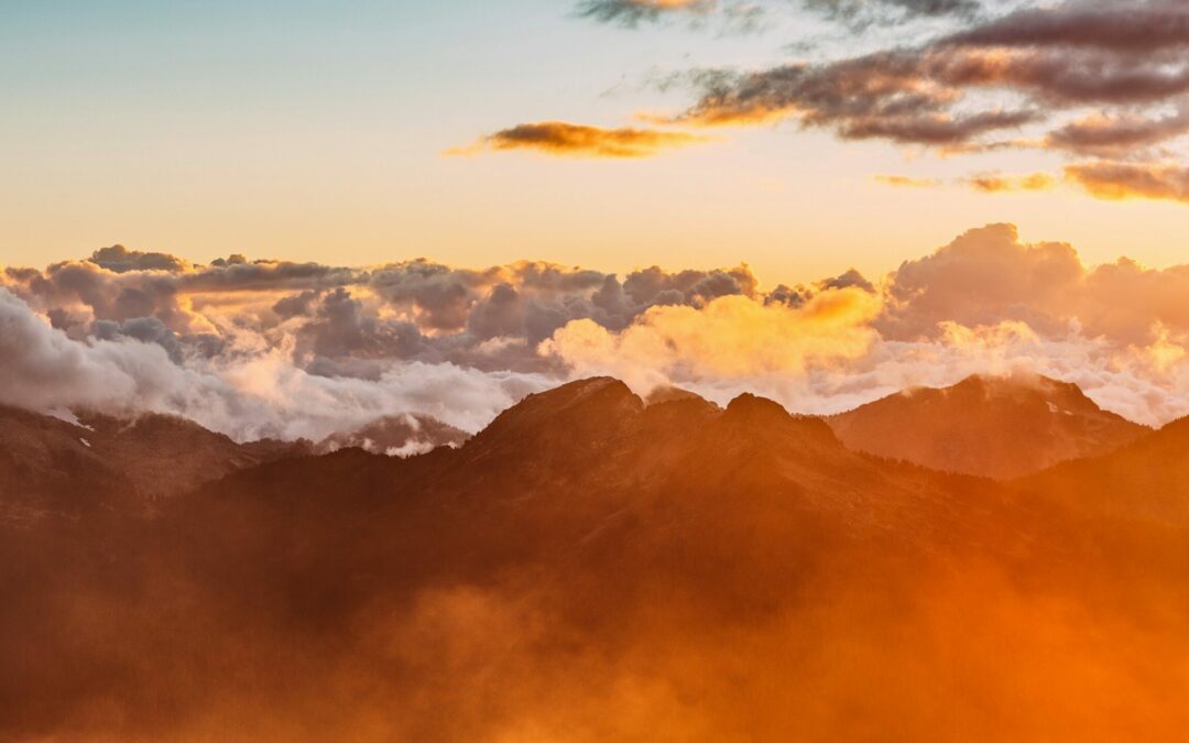 Where is the Disputer of this Age? | Job 38:8 – 39:30 | Tom J. Nettles