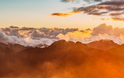 Where is the Disputer of this Age? | Job 38:8 – 39:30 | Tom J. Nettles