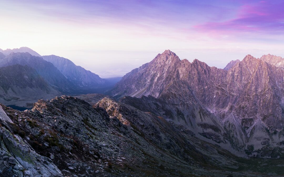 All Creatures of Our God and King | Job 40-41 | Tom J. Nettles