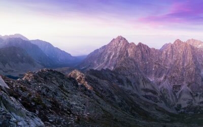 All Creatures of Our God and King | Job 40-41 | Tom J. Nettles