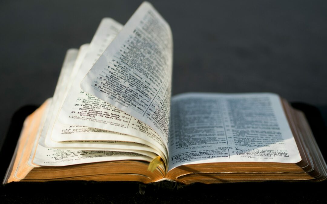 Philip and the Ministry of the Word | Christopher E. Osterbrock