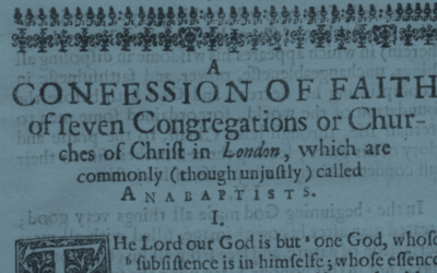 Analytical Outlines of Particular Baptist Confessions of Faith by Reagan Marsh