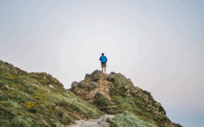 Exploring Boston | Johnny Zacchio