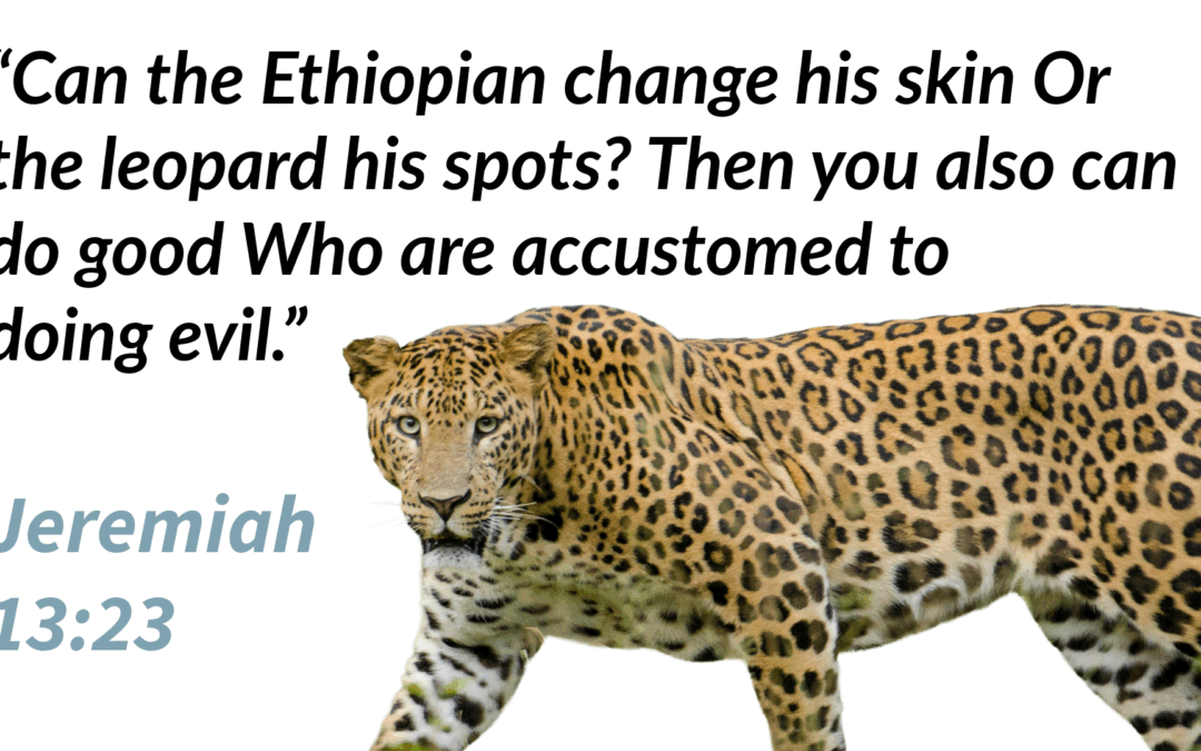 1689 9:3 Free Will Defined and Defended | Sam Waldron